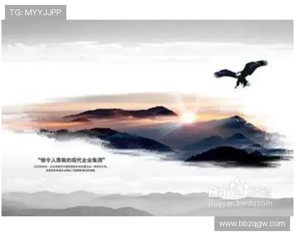 多宝视讯公司注册地点的选择原因及其对企业发展的影响